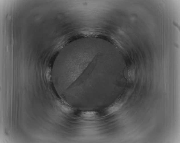 X0000097790671200803141830