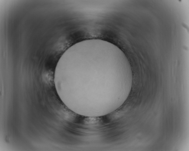X0000097790672200803141830