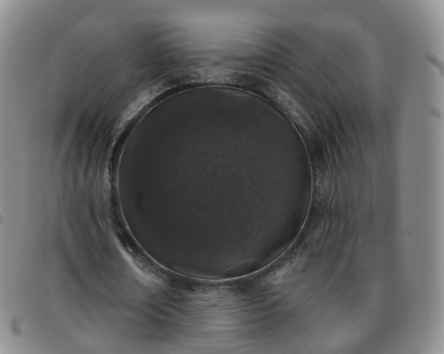 X0000097790674200803141830