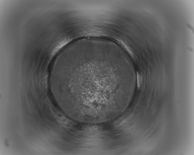 X0000097790675200803141830
