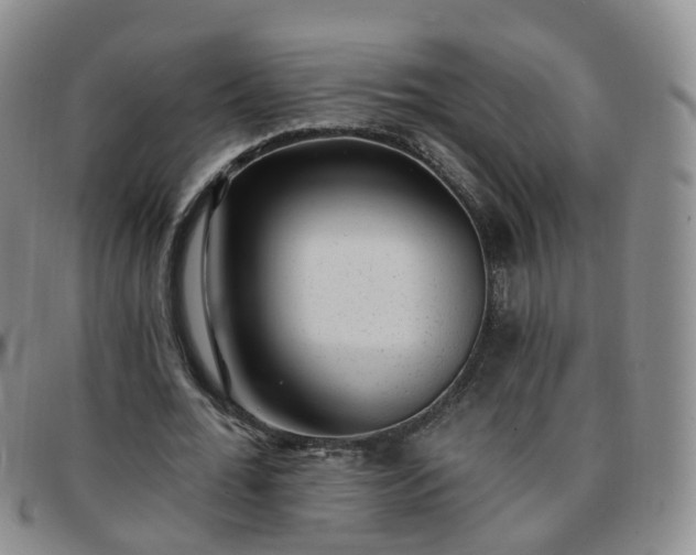 X0000097790676200803141830