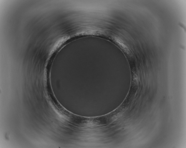 X0000097790678200803141830