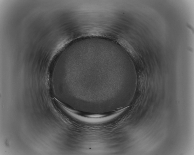 X0000097790680200803141829
