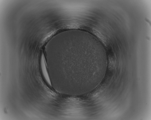 X0000097790681200803141829