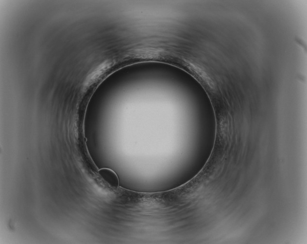 X0000097790682200803141829