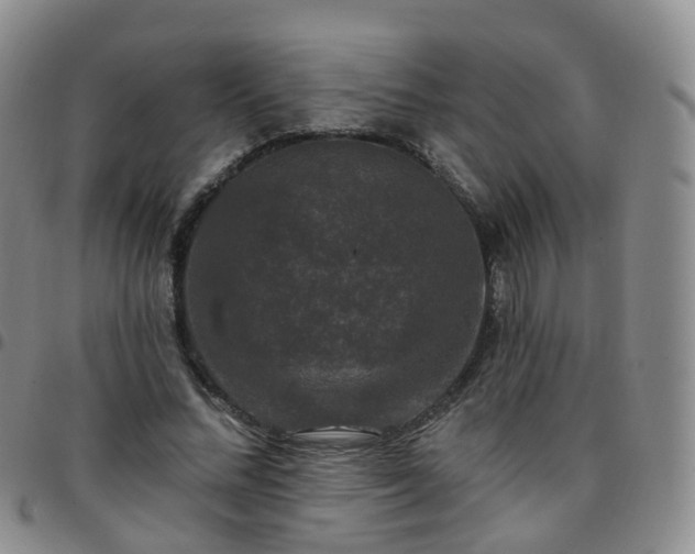 X0000097790684200803141829