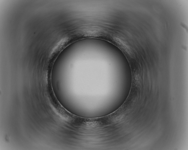X0000097790686200803141829