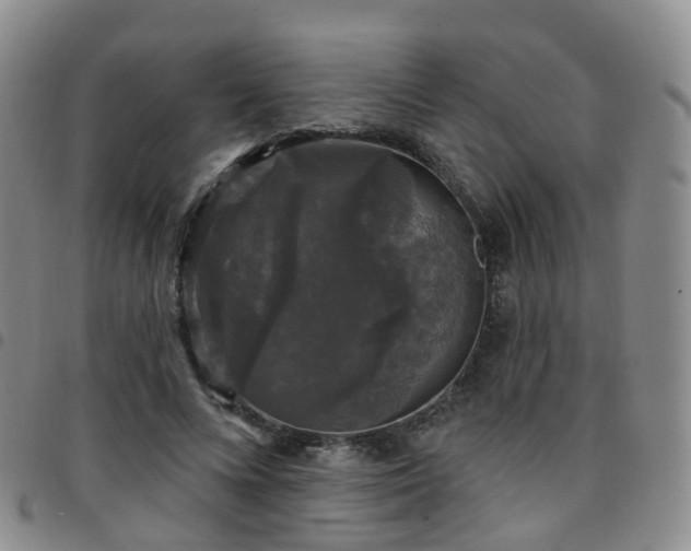 X0000097790688200803141829