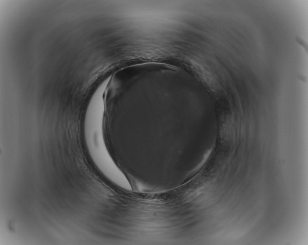 X0000097790689200803141829