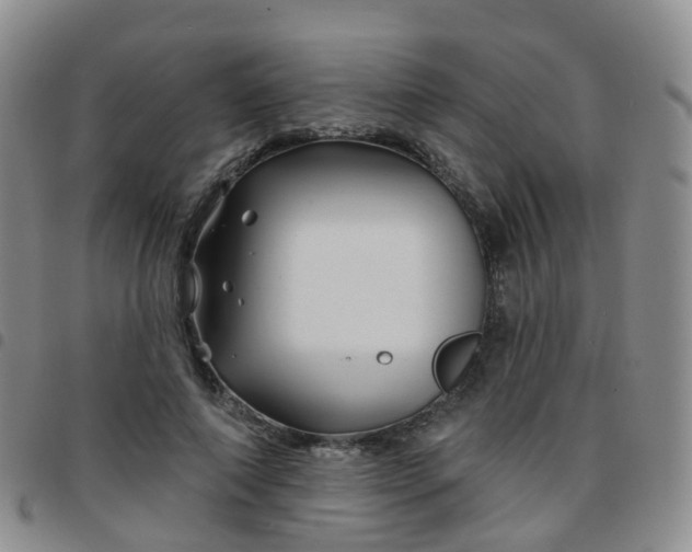 X0000097790690200803141829