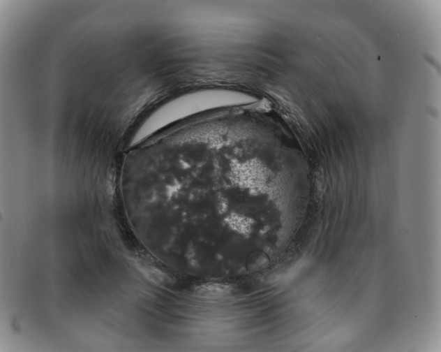 X0000097790691200803141829
