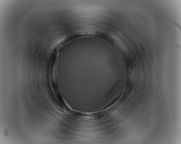 X0000097790692200803141829