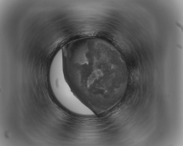 X0000097790693200803141829