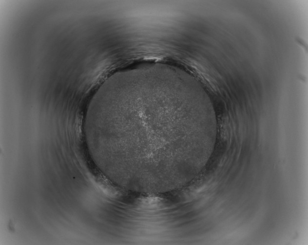 X0000097790695200803141829