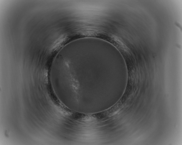 X0000097790696200803141829