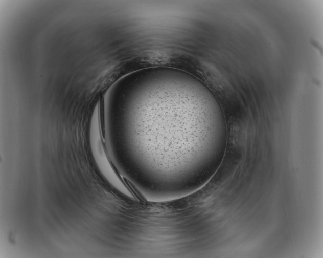 X0000097790697200803141829