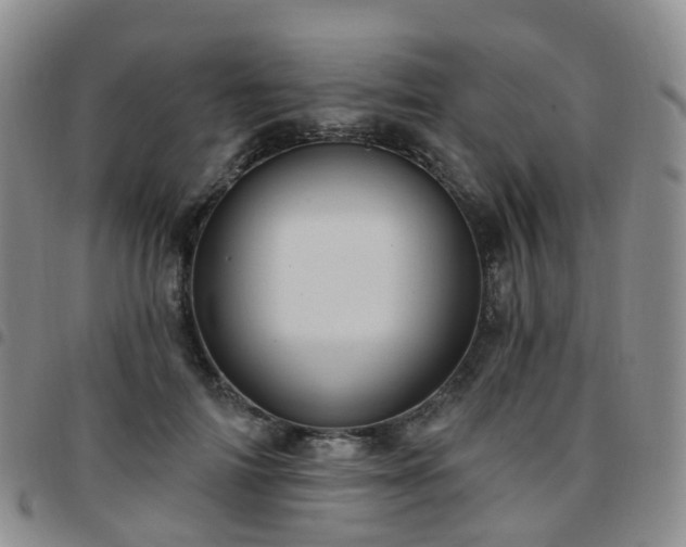 X0000097790698200803141829