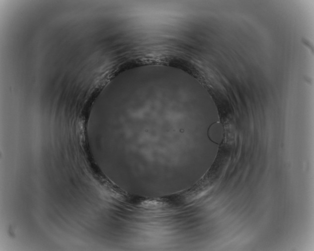 X0000097790699200803141829