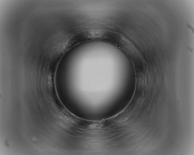 X0000097790700200803141829