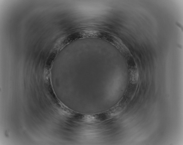 X0000097790701200803141829