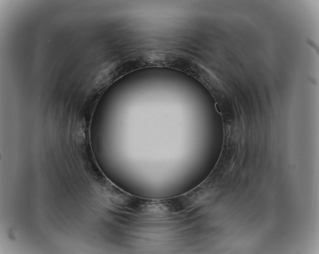 X0000097790702200803141829