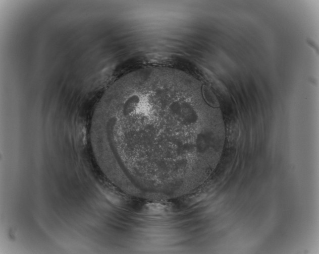 X0000097790703200803141829