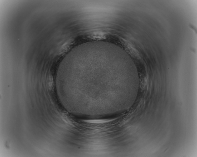 X0000097790704200803141829