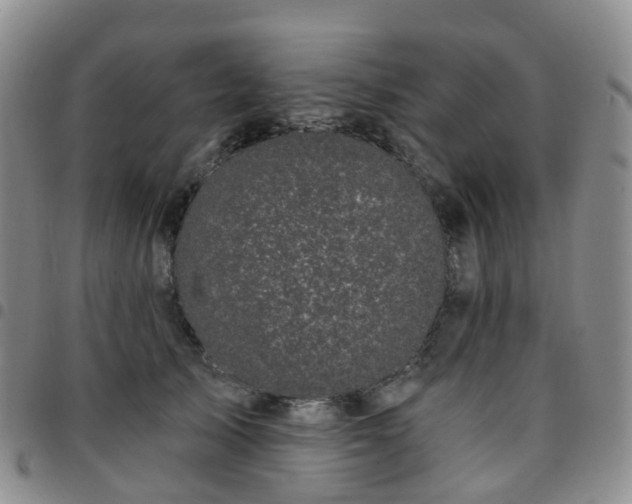 X0000097790705200803141829