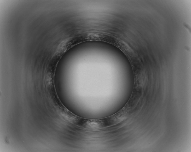 X0000097790706200803141829