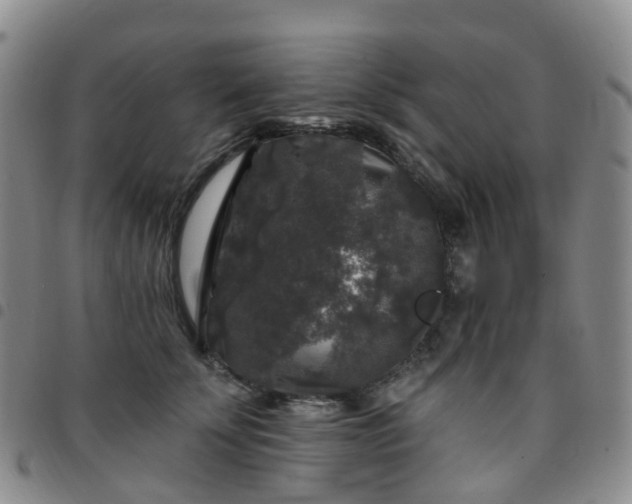 X0000097790707200803141829
