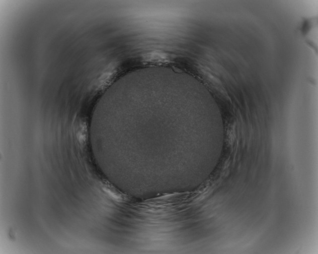 X0000097790708200803141829