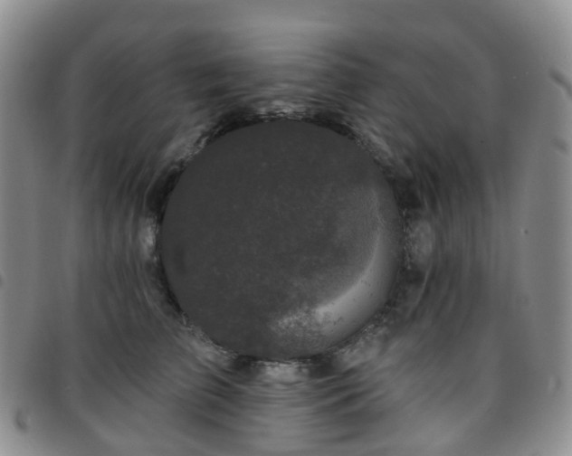 X0000097790709200803141829