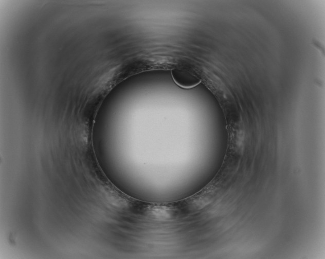 X0000097790710200803141829
