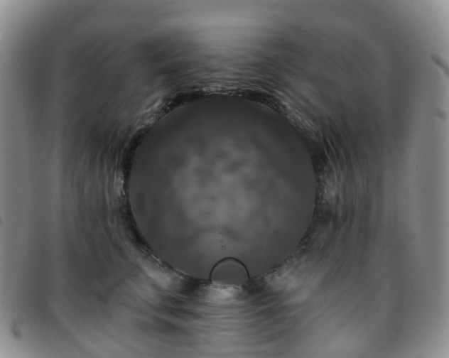 X0000097790711200803141829