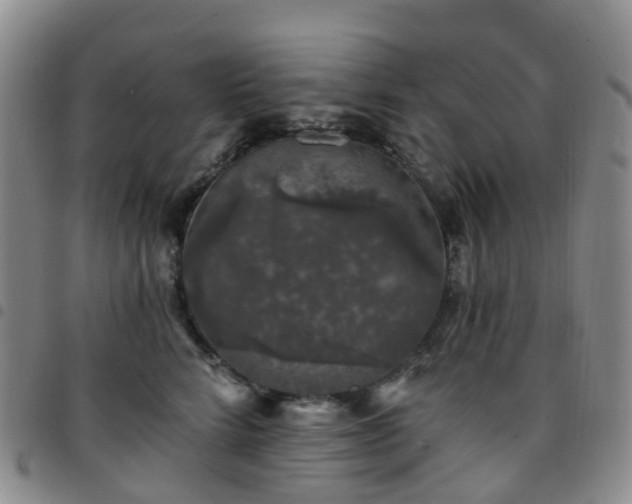 X0000097790712200803141829