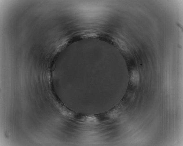 X0000097790715200803141829