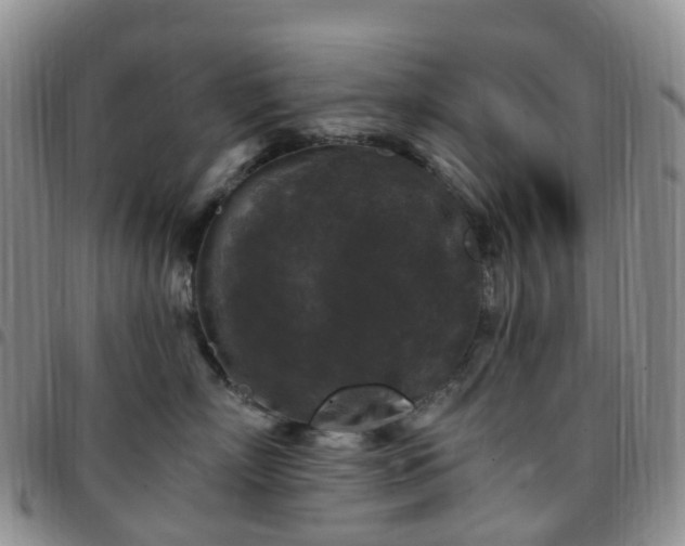 X0000097790718200803141829