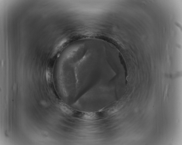 X0000097790720200803141829