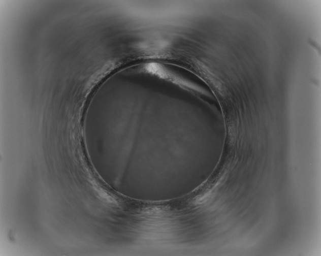 X0000097790721200803141828