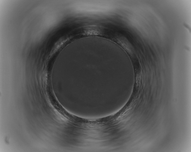 X0000097790722200803141828
