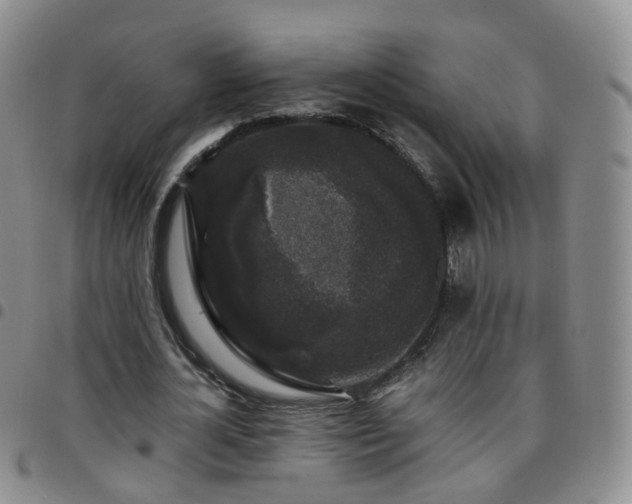 X0000097790724200803141828