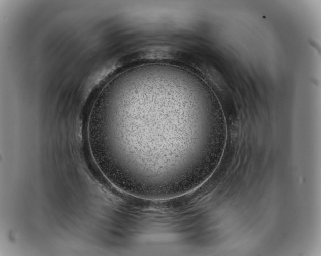 X0000097790727200803141828