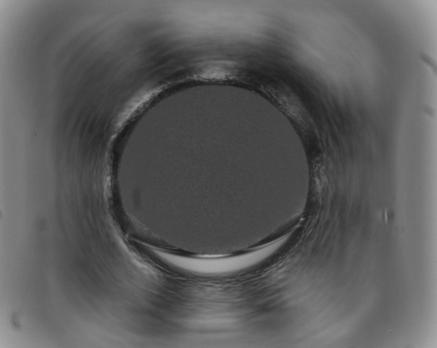 X0000097790728200803141828