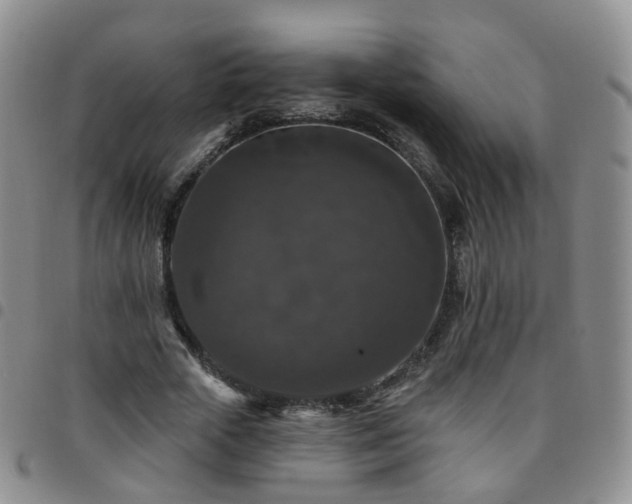 X0000097790729200803141828
