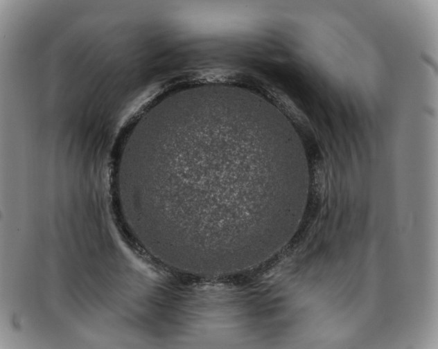 X0000097790730200803141828