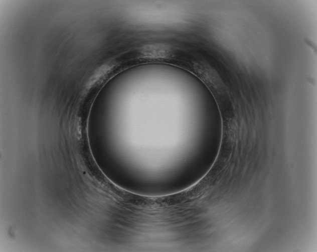 X0000097790731200803141828