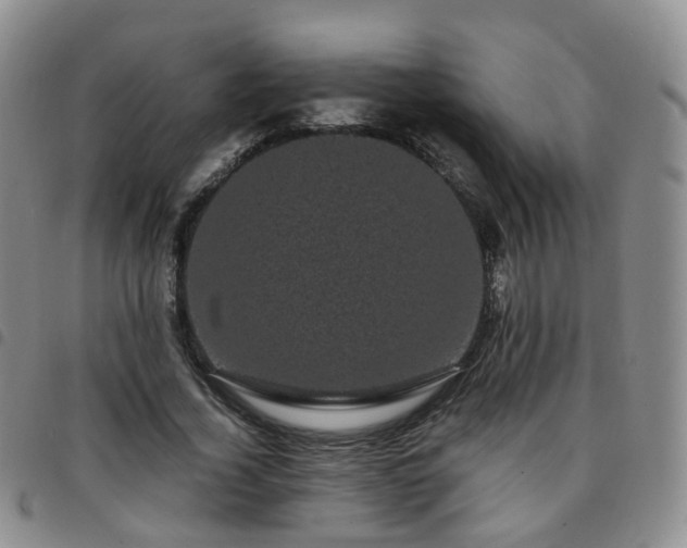 X0000097790732200803141828