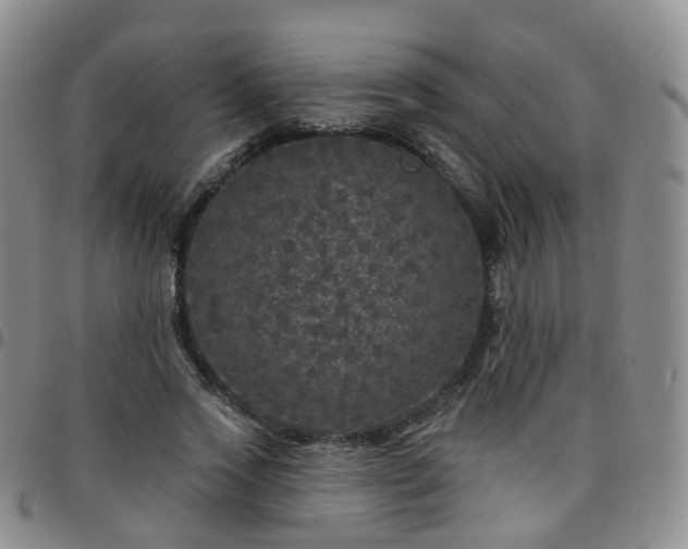 X0000097790733200803141828