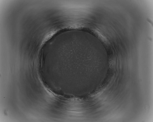 X0000097790736200803141828