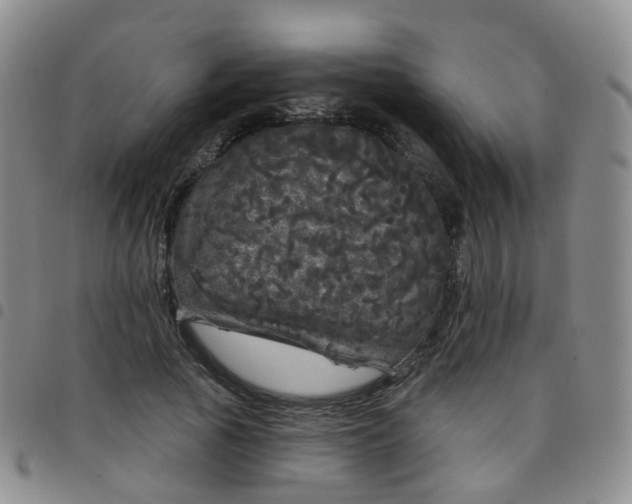 X0000097790737200803141829